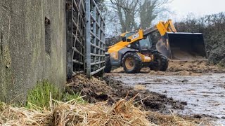 Cleaning yard with 53660 and new feeder in with the cows Episode 112 [upl. by Zeph69]