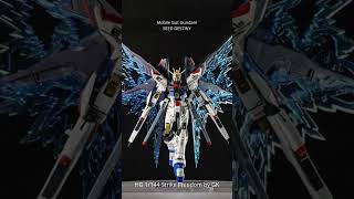 HG 1144 Strike Freedom Gundam by GAOKE [upl. by Betty]