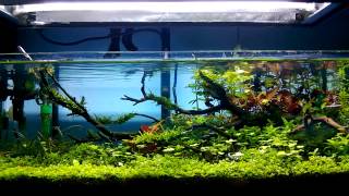 ADA 60F [upl. by Neils]