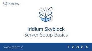 Minecraft  Iridium Skyblock Server Setup Basics [upl. by Jessalin]