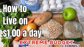 EATING FOR 1 A DAY in 2024  EXTREME BUDGET MEAL PLAN [upl. by Irpak863]