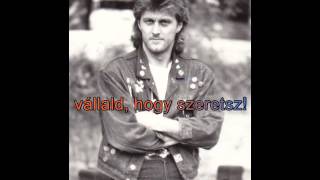 Homonyik Sándor  Vállald hogy szeretsz lyrics 1990 [upl. by Siseneg]