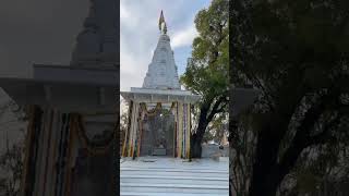 4th Patotsav Celebrations Shri Haidakhan Babaji Temple Bandikui Om Namah Shivay 🌹🌹🙏🙏 [upl. by Rosita]