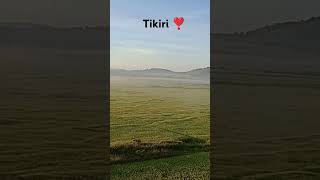 So beautiful nature in tikiritraintikiri beautyfullmorning views [upl. by Irina]