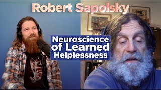 The Neuroscience of Learned Helplessness  Robert Sapolsky  Bite Size Science [upl. by Anom560]