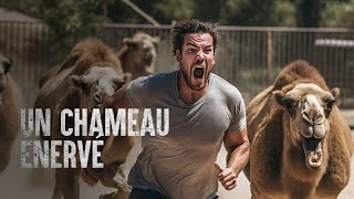 Comment survivre à une attaque de chameau [upl. by Leahicm]