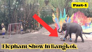 Elephant Playing Soccer And Scored Goal Elephant Show In Safari World Bangkok Part 1 RAW HD 2024 [upl. by Eckardt]