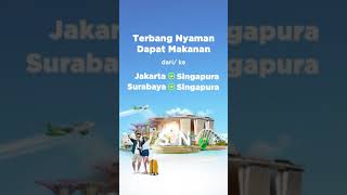 BarengCitilink darike Jakarta  Singapura [upl. by Casavant56]