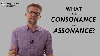 quotWhat are Assonance and Consonancequot A Literary Guide for English Students and Teachers [upl. by Eidlog309]