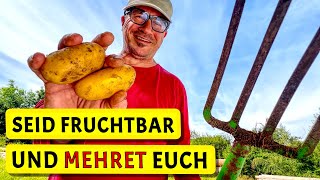 Die wundersame KartoffelVermehrung  Rezept Pflaumenmus  Test Rüttelsieb [upl. by Stilu]