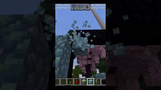 Minecraft build errorminecraft youtubeshorts trending TechPai1 cristiano [upl. by Dazhahs]