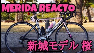 MERIDA REACTO 新城モデル 桜リアクト スピードバイク紹介 [upl. by Jacie255]