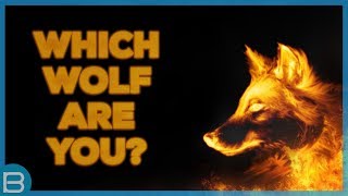 What Type Of Wolf Are You [upl. by Ardekan]