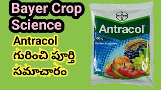 Bayer Crop Science Antracol Fungicide Uses in telugu  My Wildlife  Fungicides uses telugu [upl. by Ermengarde448]