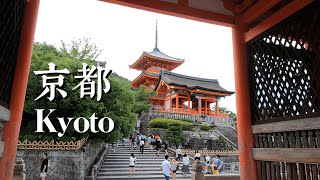 Breathtaking KYOTO  Japan Vlog Part 2 4K [upl. by Alane]