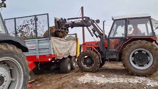 Jesień na Podlasiu💪 » wapno talerzowanie amp obornik🚜 [upl. by Ennayrb]