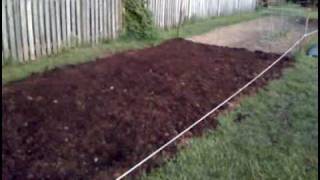 Amending my garden with mushroom soil [upl. by Brockwell770]