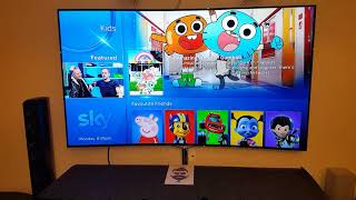 How to use SKY Q  DEMO FOR YOUR NEW Q BOX [upl. by Vastah271]