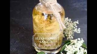 How to make delicate Elderflower liqueur [upl. by Ahtimat37]