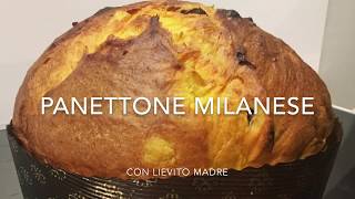 Panettone milanese a lievitazione naturale con impastatrice a spirale Sunmix [upl. by Sedinoel900]