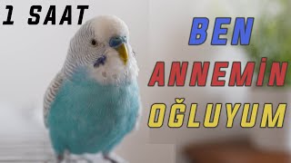 BEN ANNEMİN OĞLUYUM BEN AKILLI BİR KUŞUM   1 SAAT [upl. by Pas]