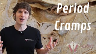 The Female Reproductive Cycle  Period Cramps  Part 1 [upl. by Nyrroc]