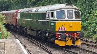 Class 33  438  66  D6515  33012  428  66502  Tones  Mid Hants Railway  Alresford  150723 [upl. by Selyn]