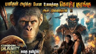 Kingdom of the Planet of the Apes Full Movie in Tamil Explanation  Super Voice Over [upl. by Giuseppe]