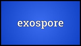 Exospore Meaning [upl. by Salangia]