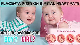 PLACENTA POSITION AND FHR VS BABY GENDER anterior placenta posteriorplacenta boybaby girlbaby [upl. by Adiehsar]