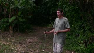 The Fer de lance in Belize  Part 1 [upl. by Wylde75]