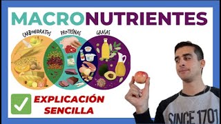 Qué son los MACRONUTRIENTES 🍎 EXPLICADO  Carbohidratos proteinas y grasas [upl. by Kendy700]