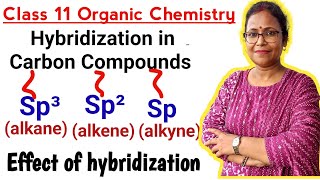 hybridizationhybridization in carbon compounds sp³sp² and sp hybridizationClass 11 Chemistry [upl. by Yajnas]