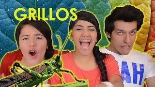 COMIENDO GRILLOS  CHAPULINES  RETO POLINESIO [upl. by Vikki522]