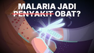 Cara Gila Gunain Malaria Buat Jadi Obat [upl. by Devan]