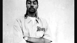 Krayzie Bone  Heat Of The Night [upl. by Hamirak]