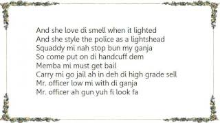 Vybz Kartel  Mr Officer Lyrics [upl. by Clemente]