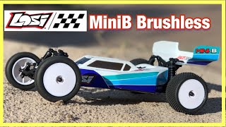 Losi MiniB Brushless First Drive [upl. by Maleen569]