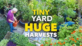 Tiny Yard Container Garden How to Grow 1000 of Food [upl. by Skoorb]