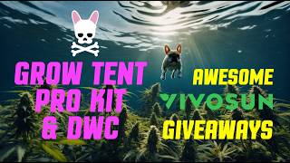 Vivosun  Grow Tent Pro Kit amp DWC System  PLUS WIN 1 of 2 Vivosun Giveaways [upl. by Notsnorb]