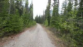 Goat Creek Trail  Canmore To Banff Doubletrack [upl. by Enailil]