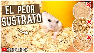 PUEDO USAR ASERRIN con mi HAMSTER ¿Es BUEN SUSTRATO [upl. by Philipa133]