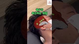 🌟측두근temporalis 촉진하는 방법🌟 도수치료 측두근 두통 해부학 근육학 근막이완 마사지 이명 [upl. by Ahsenhoj818]