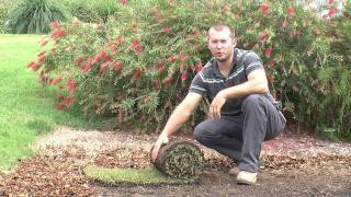 How To Lay Turf Properly  Step By Step Instruction Video [upl. by Nidnal]