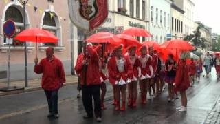 800 Jahre Reichenbach im Vogtland  der Festumzug Teil02  Tag der Vogtländer [upl. by Procto]