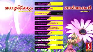 Madhurikkum ormakal മധുരിക്കും ഓർമ്മകൾ   New mappila pattu  latest album songs [upl. by Alemaj137]