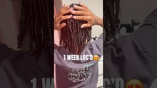 My Starter Locs Journey One Week In [upl. by Htebilil427]