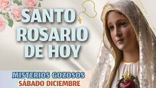 ❤️🌿SANTO ROSARIO CORTO de hoy ☀️ Sábado 14 DICIEMBRE 2024🌷🌿Misterios Gozosos🌷🌿 SEGUNDO SÁBADO✝️ [upl. by Intosh]