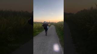 🌾⛅️ wheelie electricbike bikelife stuntriding surronebike surron surronultrabee bike view [upl. by Wearing755]