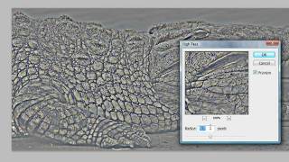 Photoshop  High Pass Sharpening [upl. by Aekerly]